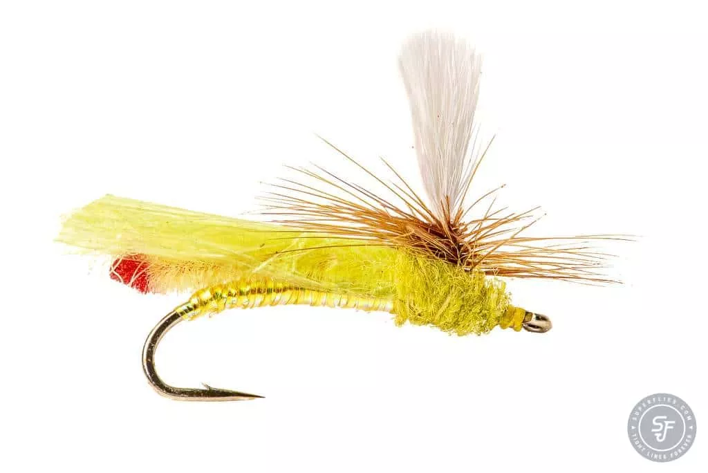 Headlight Sally Dryfly