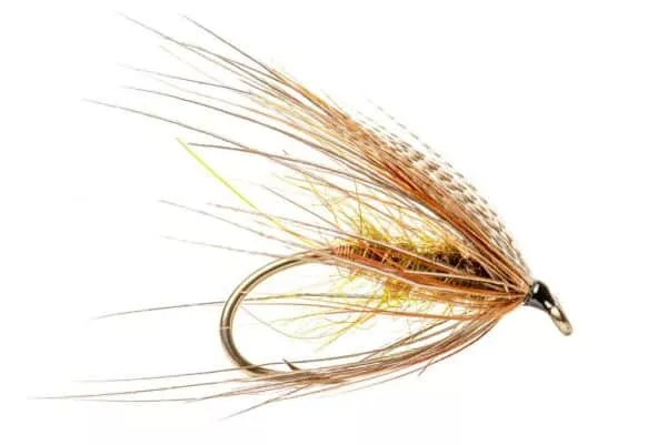 Lazy Caroline Steelhead Fly on Single hook