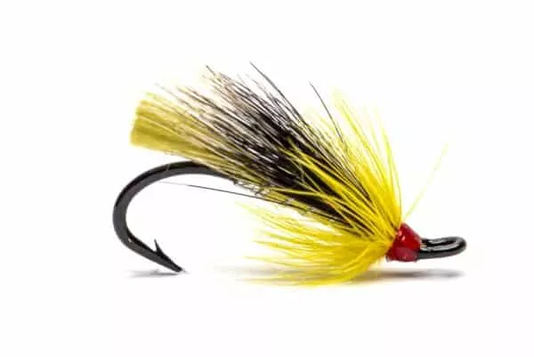 Cosseboom Olive yksihaara