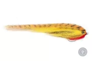 Golden dorado and giant trevally fly