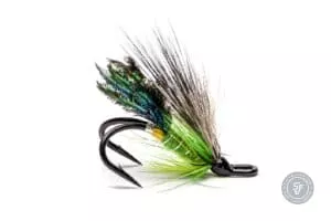 Roger's Fancy fly