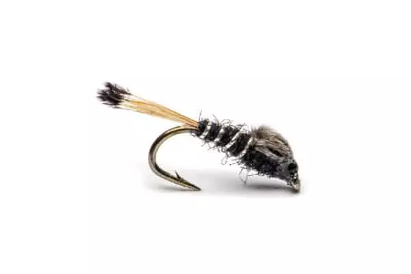 Teal & Black Nymph