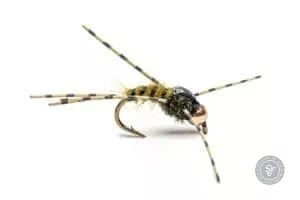 Vitamin G sea trout fly for Argentina
