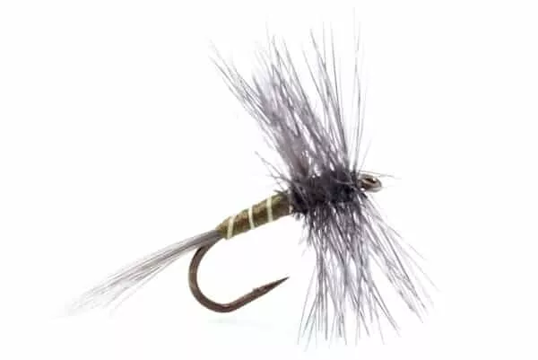Dark Cahill Dry Fly
