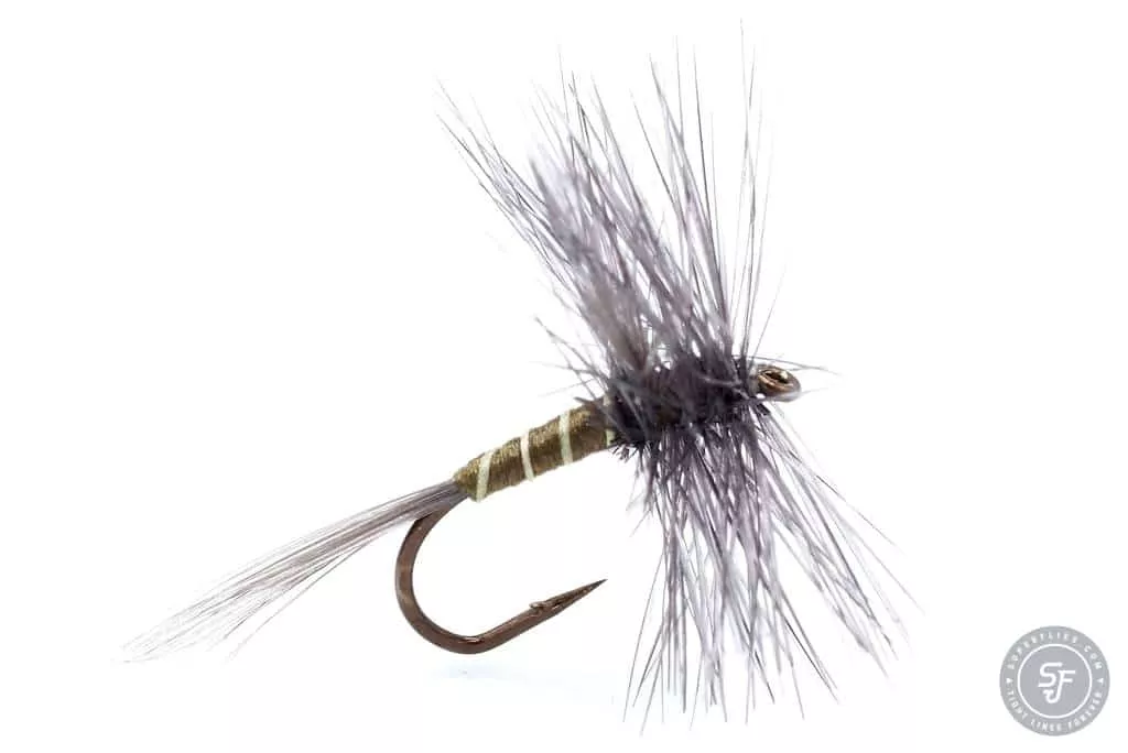 Dark Cahill Dry Fly