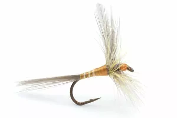 Yellow Cahill Dry Fly