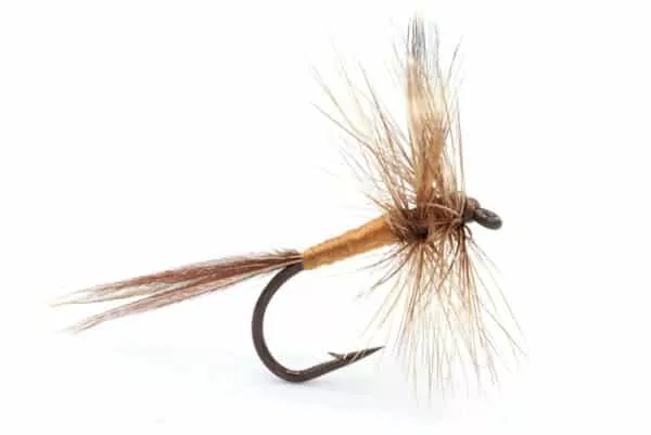 Cahill Dry - Image 3
