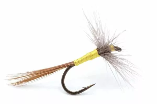 Sulphur dry fly mayfly