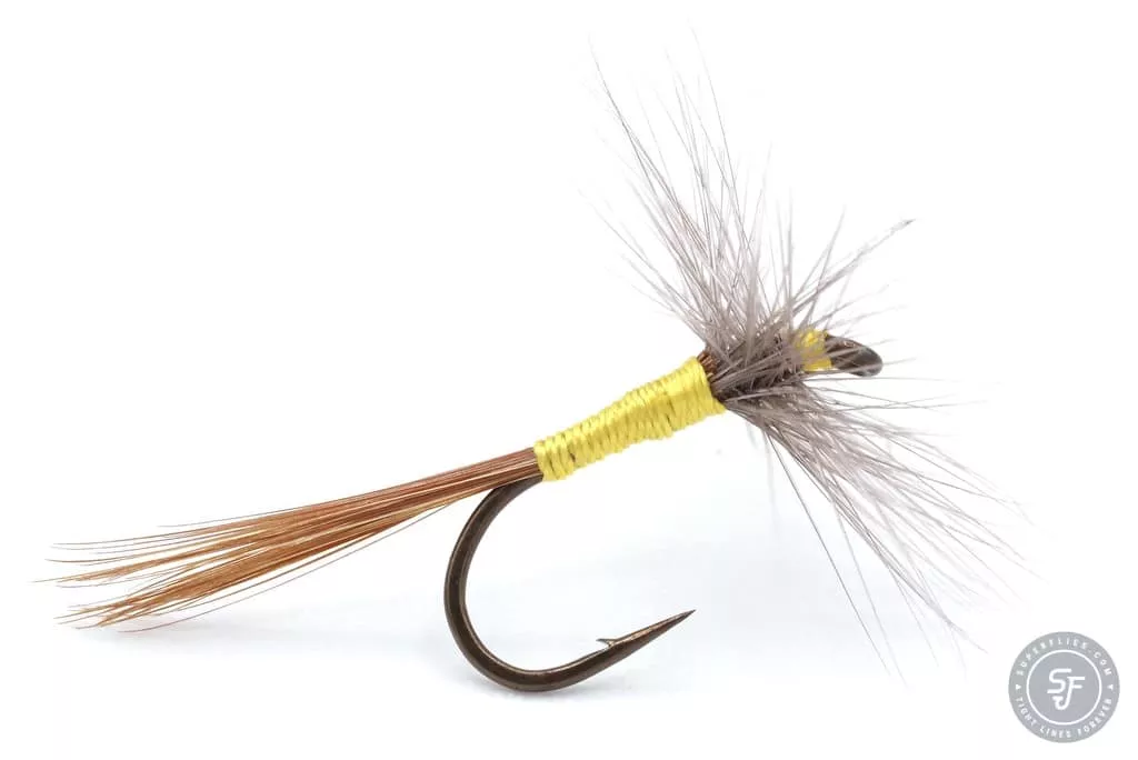 Sulphur dry fly mayfly