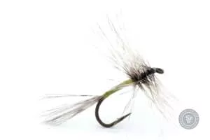 Green Spider Dry fly