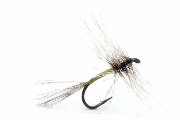 Green Spider Dry fly