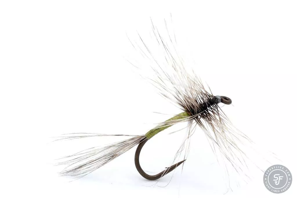 Green Spider Dry fly
