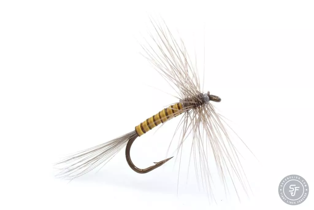 Yellow Quill Dry fly