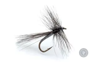 Gnat Dry fly