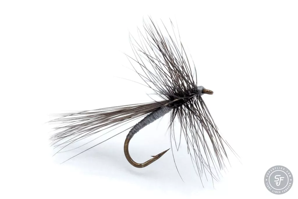 Gnat Dry fly