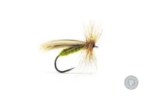Europea 12 dry fly in olive color