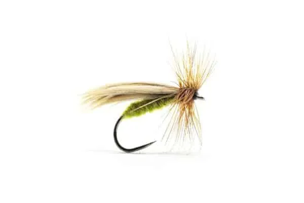 Europea 12 dry fly in olive color