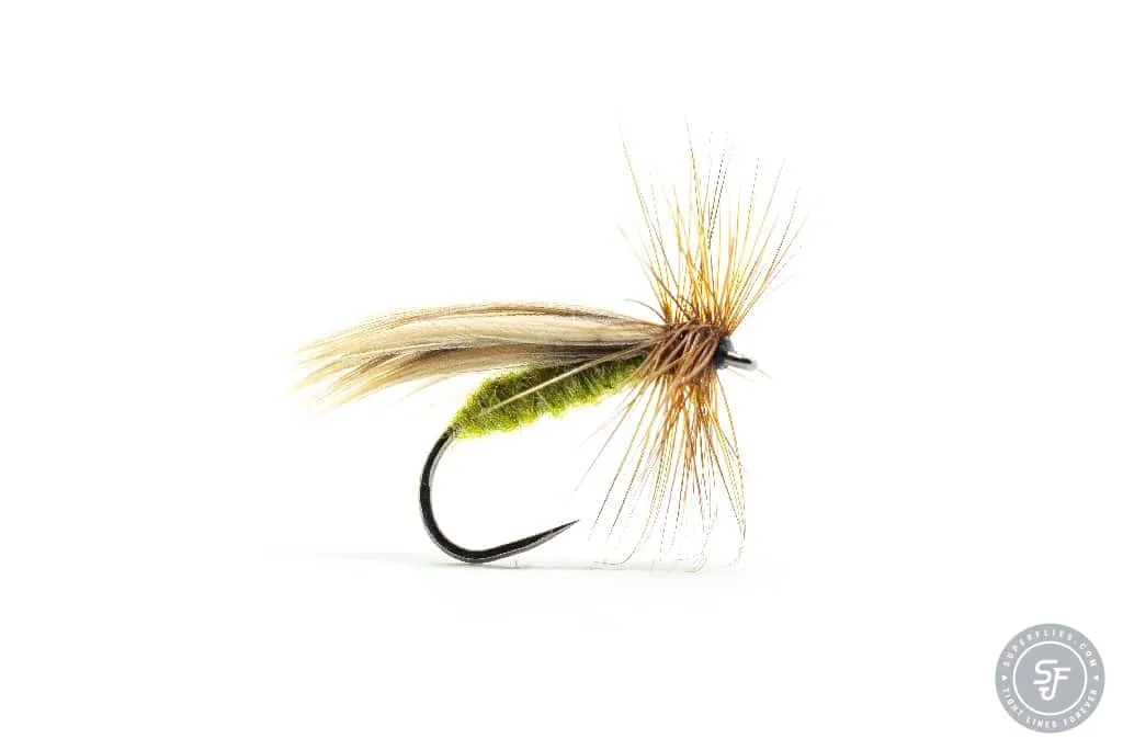 Europea 12 dry fly in olive color