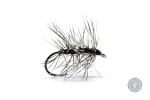Black Palmer Dry fly