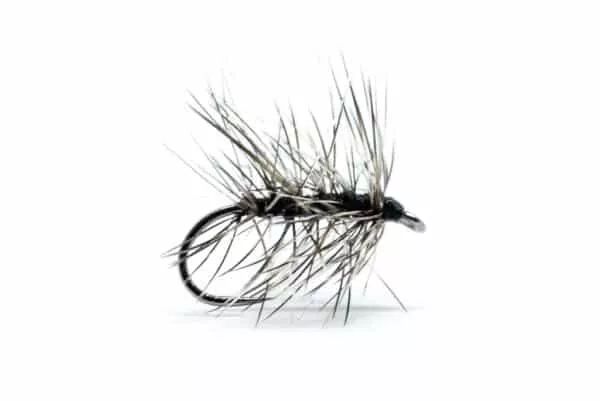 Black Palmer Dry fly