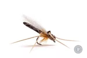Daddy Long Legs dry fly with foam body