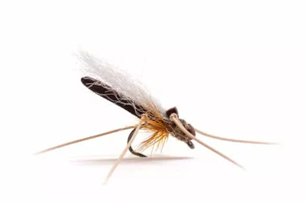 Daddy Long Legs dry fly with foam body