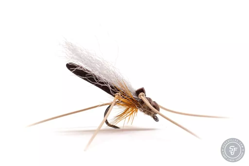 Daddy Long Legs dry fly with foam body
