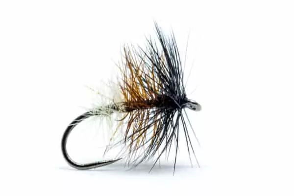 Tricolore Dry fly