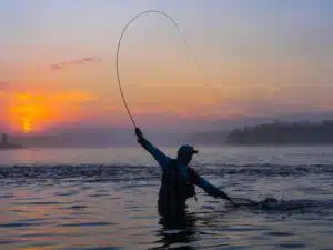 Trout fly fishing in Norway