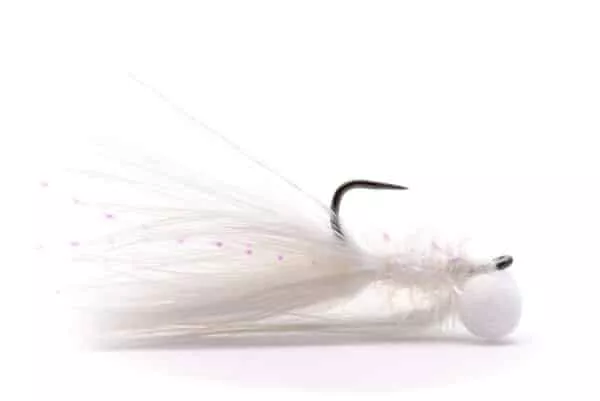 Booby fly in white