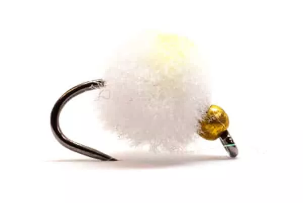 Egg Fly in White