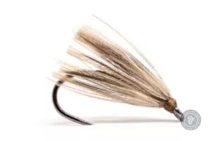 Peute Emergent fly