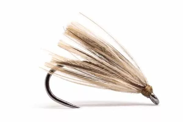 Peute Emergent fly