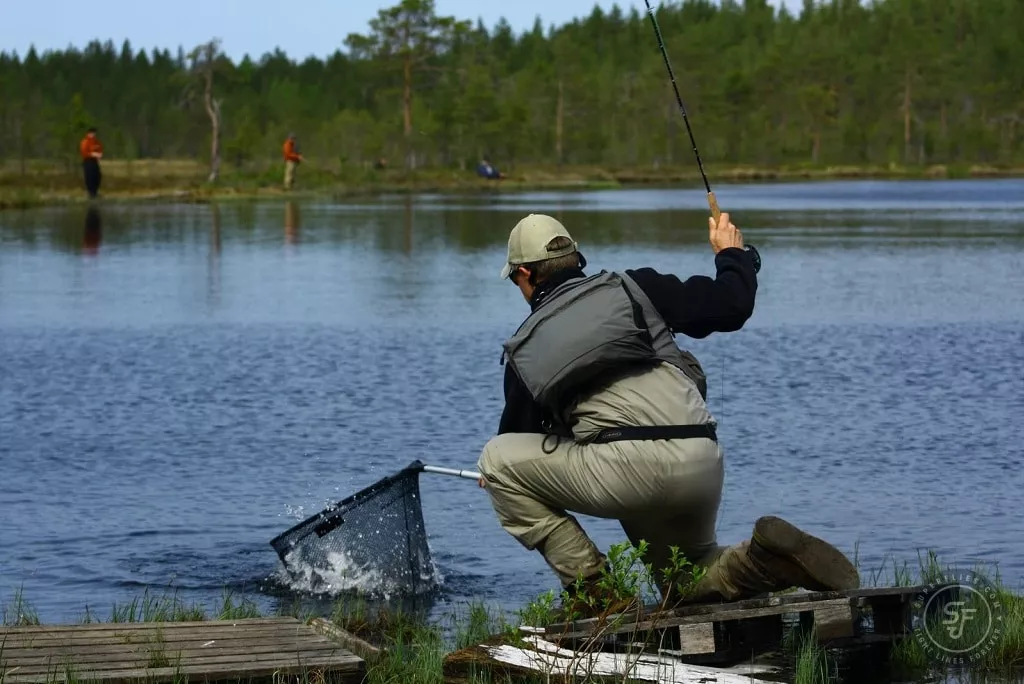 Stillwater fly fishing selection