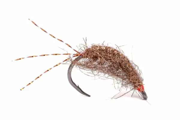Kuparipukki Setrout fly