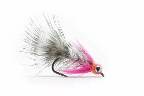 Polar Magnus seatrout streamer
