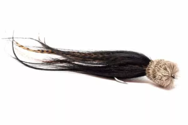 Dark Beard Pusher predator fly