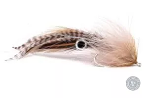 Pretorius Semper Squid
