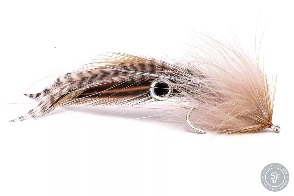 Pretorius Semper Squid