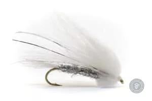 Talvi Kostaja streamer fly