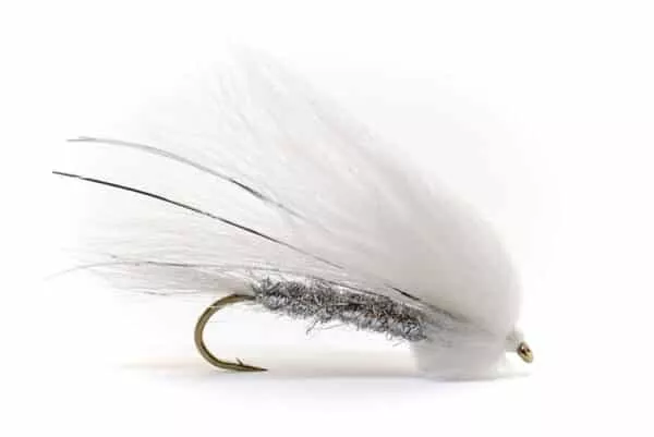 Talvi Kostaja streamer fly