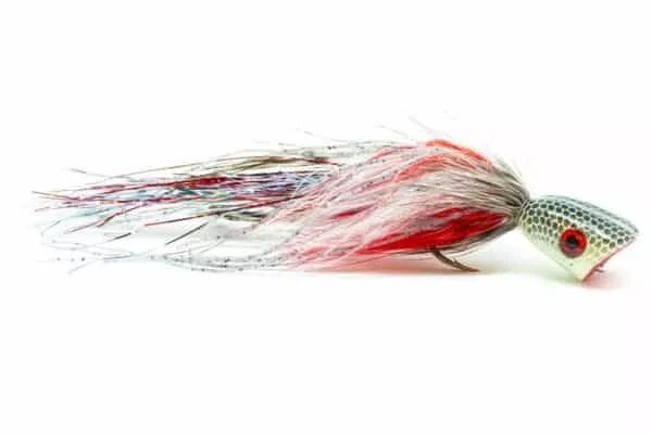 Double Barrel Popper fly in white and grey color