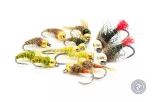 Selection of euronymhing flies