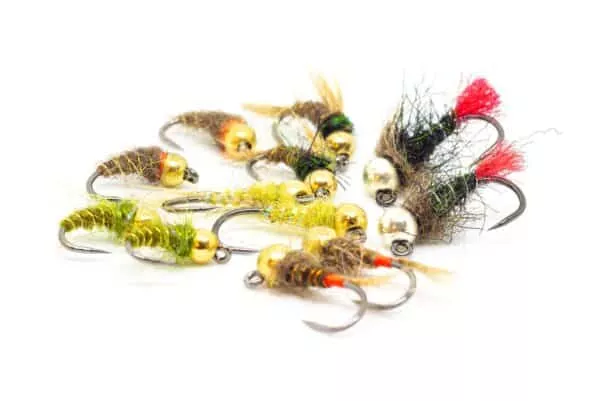 Selection of euronymhing flies