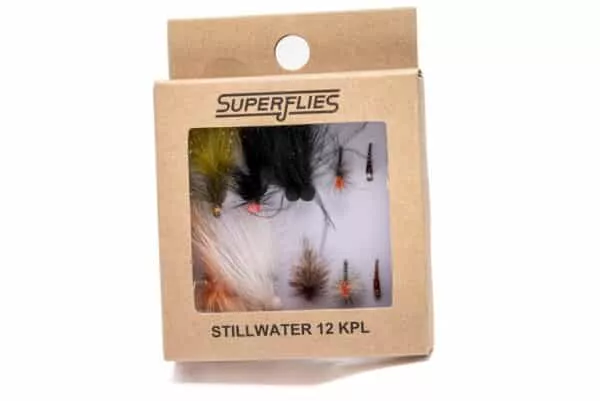 Selection of stillwater flies in box