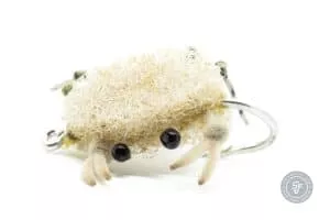 Contraband Crab Permit fly