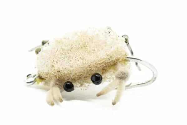 Contraband Crab Permit fly