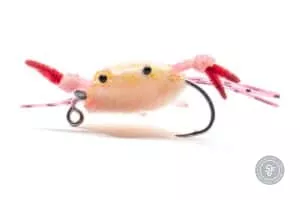 Fleeing crab fly with pink legs