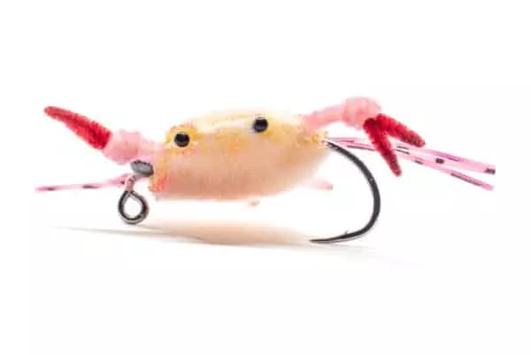 Fleeing crab fly with pink legs