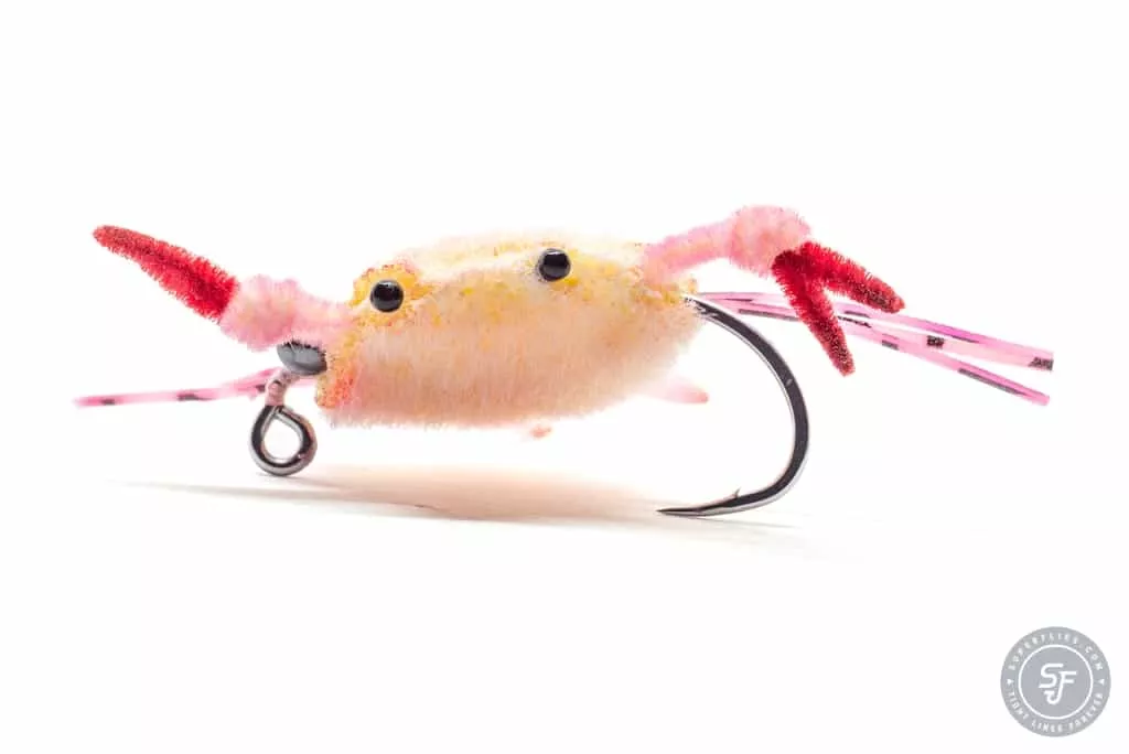 Fleeing crab fly with pink legs
